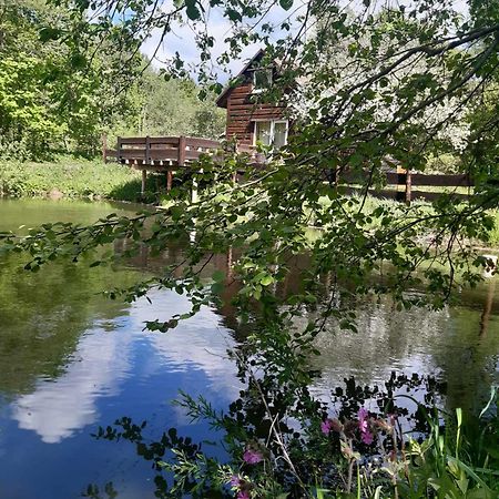 Pod Dobrym Adresem- Domek Nad Stawem Cisna Exteriör bild